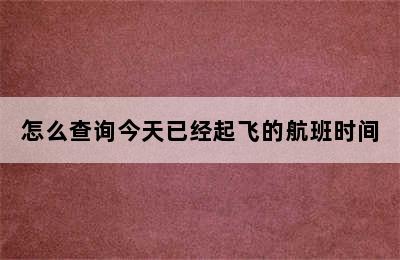 怎么查询今天已经起飞的航班时间