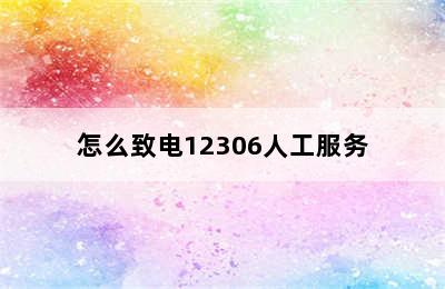 怎么致电12306人工服务