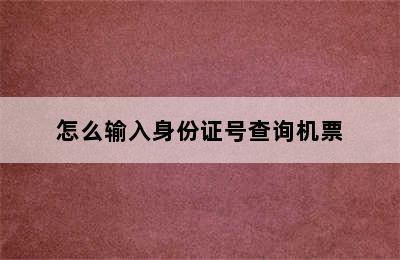 怎么输入身份证号查询机票