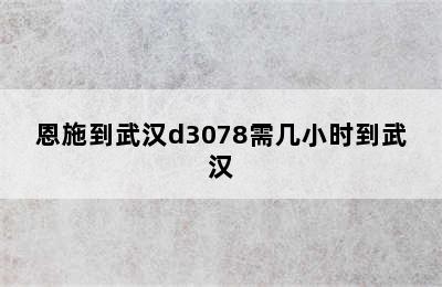 恩施到武汉d3078需几小时到武汉