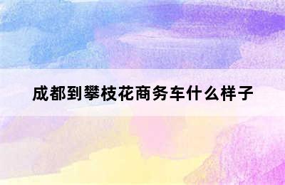 成都到攀枝花商务车什么样子