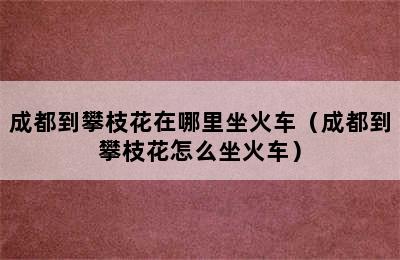 成都到攀枝花在哪里坐火车（成都到攀枝花怎么坐火车）