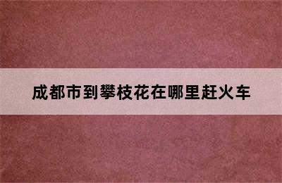 成都市到攀枝花在哪里赶火车
