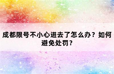 成都限号不小心进去了怎么办？如何避免处罚？