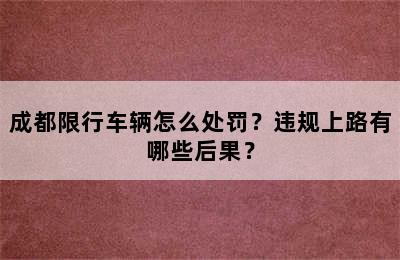 成都限行车辆怎么处罚？违规上路有哪些后果？