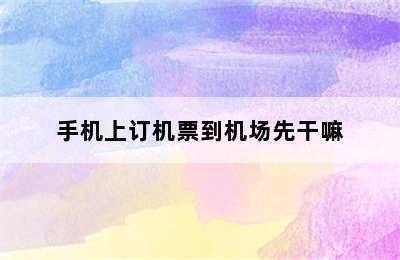 手机上订机票到机场先干嘛