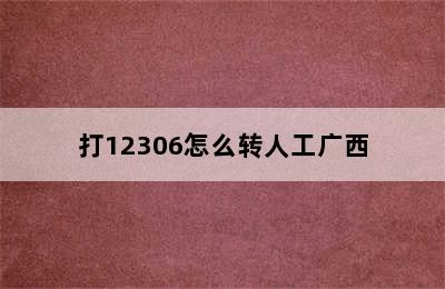 打12306怎么转人工广西