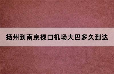 扬州到南京禄口机场大巴多久到达