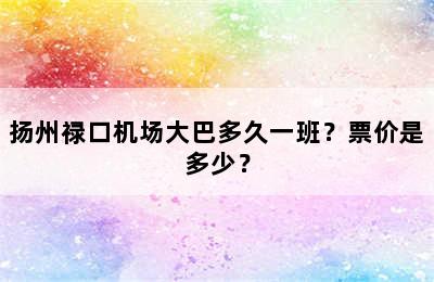 扬州禄口机场大巴多久一班？票价是多少？