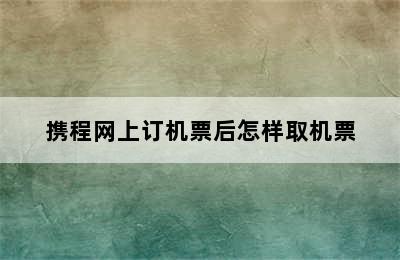 携程网上订机票后怎样取机票