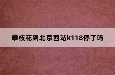 攀枝花到北京西站k118停了吗