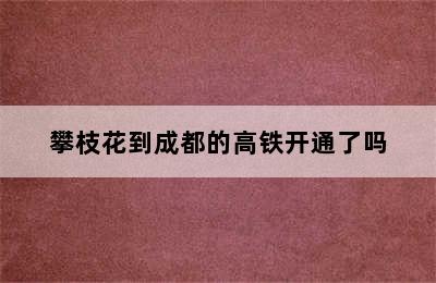 攀枝花到成都的高铁开通了吗