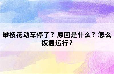 攀枝花动车停了？原因是什么？怎么恢复运行？