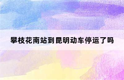 攀枝花南站到昆明动车停运了吗