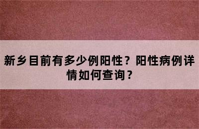 新乡目前有多少例阳性？阳性病例详情如何查询？