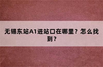 无锡东站A1进站口在哪里？怎么找到？