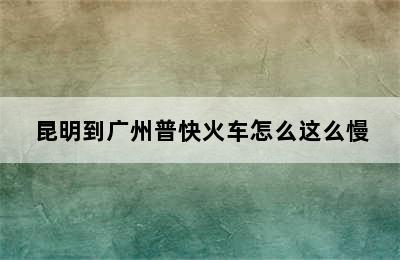 昆明到广州普快火车怎么这么慢