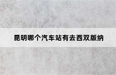 昆明哪个汽车站有去西双版纳