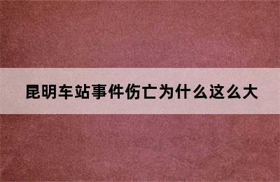 昆明车站事件伤亡为什么这么大
