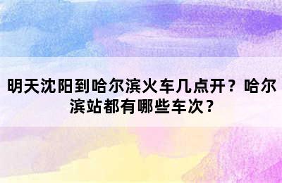 明天沈阳到哈尔滨火车几点开？哈尔滨站都有哪些车次？