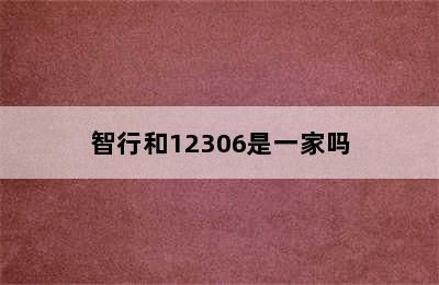 智行和12306是一家吗