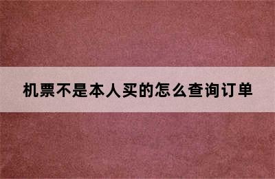 机票不是本人买的怎么查询订单