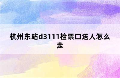 杭州东站d3111检票口送人怎么走