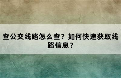 查公交线路怎么查？如何快速获取线路信息？