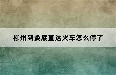 柳州到娄底直达火车怎么停了