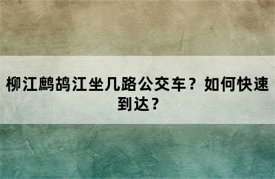 柳江鹧鸪江坐几路公交车？如何快速到达？