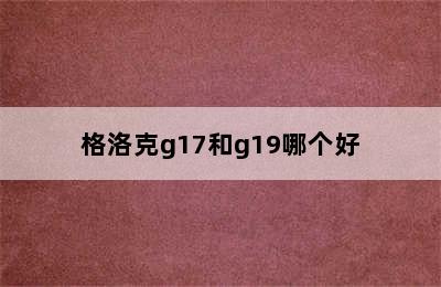 格洛克g17和g19哪个好