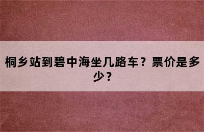 桐乡站到碧中海坐几路车？票价是多少？