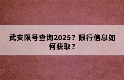 武安限号查询2025？限行信息如何获取？
