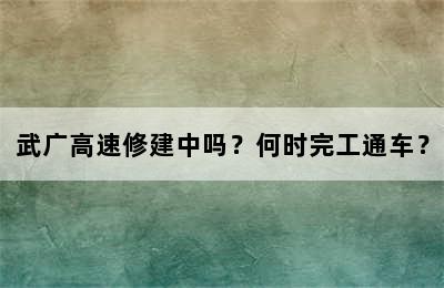武广高速修建中吗？何时完工通车？