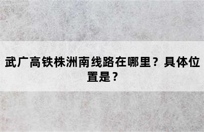 武广高铁株洲南线路在哪里？具体位置是？