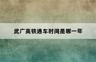 武广高铁通车时间是哪一年