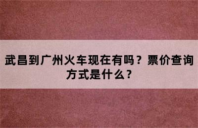 武昌到广州火车现在有吗？票价查询方式是什么？