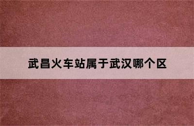 武昌火车站属于武汉哪个区