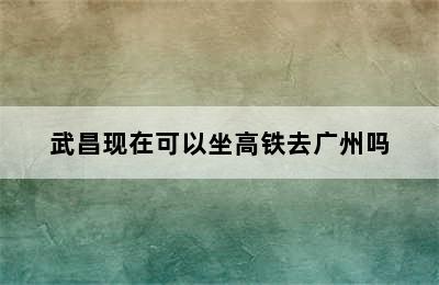 武昌现在可以坐高铁去广州吗