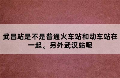 武昌站是不是普通火车站和动车站在一起。另外武汉站呢