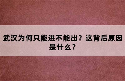 武汉为何只能进不能出？这背后原因是什么？