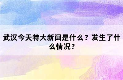 武汉今天特大新闻是什么？发生了什么情况？