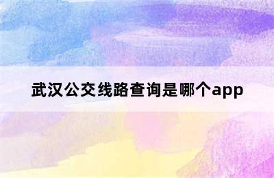 武汉公交线路查询是哪个app
