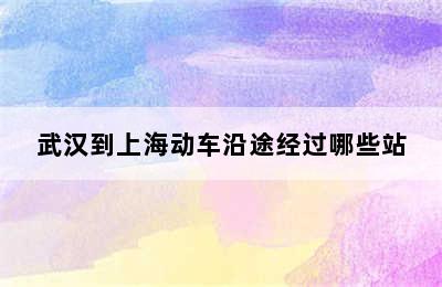 武汉到上海动车沿途经过哪些站