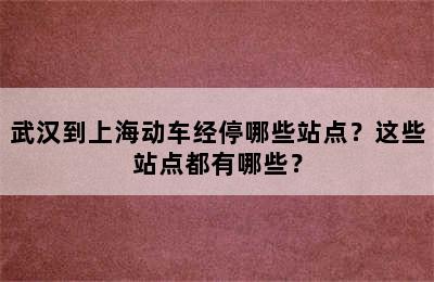 武汉到上海动车经停哪些站点？这些站点都有哪些？