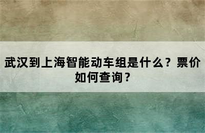 武汉到上海智能动车组是什么？票价如何查询？