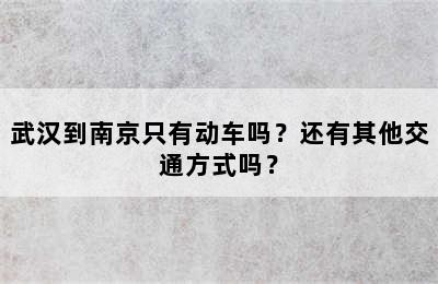 武汉到南京只有动车吗？还有其他交通方式吗？