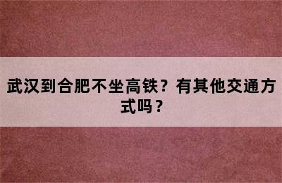 武汉到合肥不坐高铁？有其他交通方式吗？