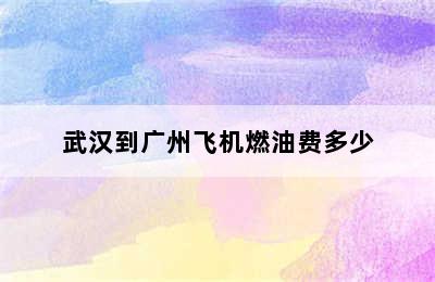 武汉到广州飞机燃油费多少
