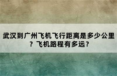 武汉到广州飞机飞行距离是多少公里？飞机路程有多远？